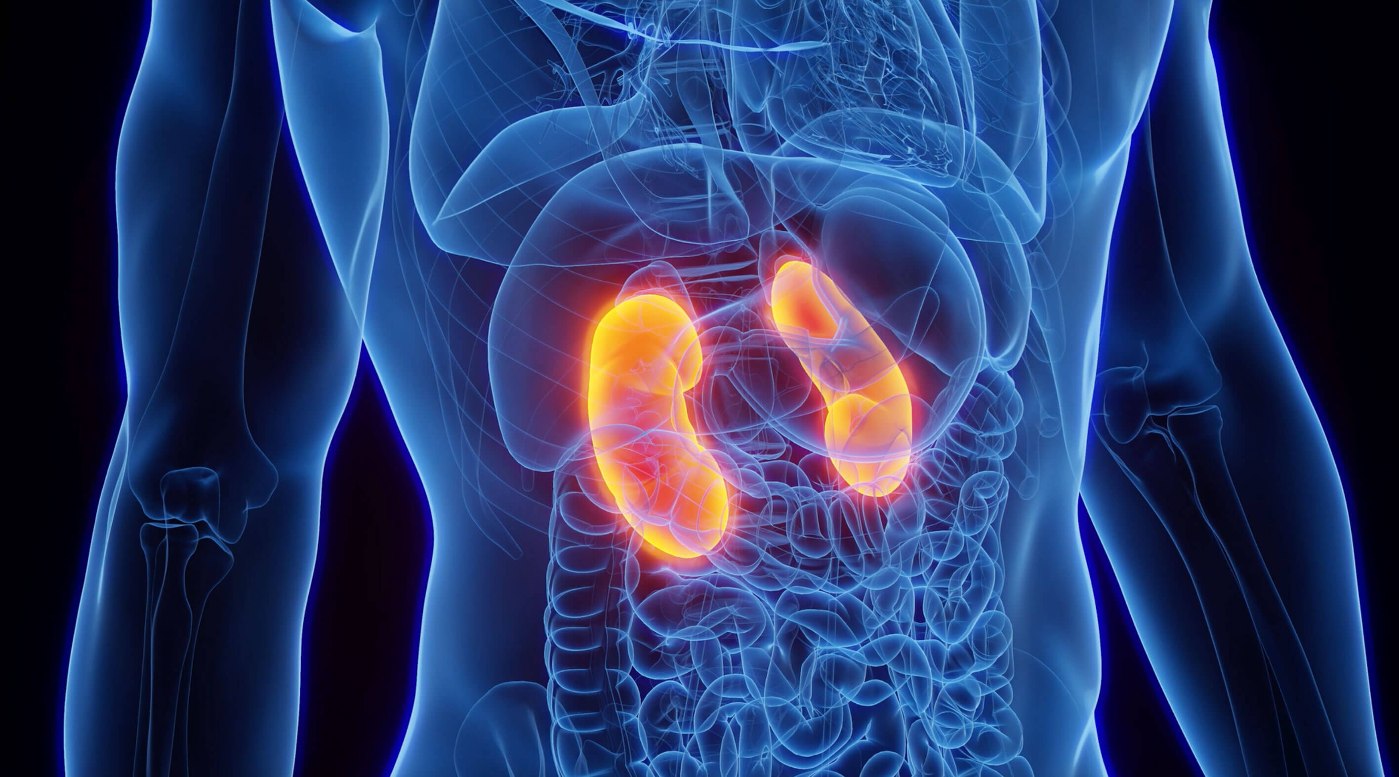 Chronic Kidney Disease
