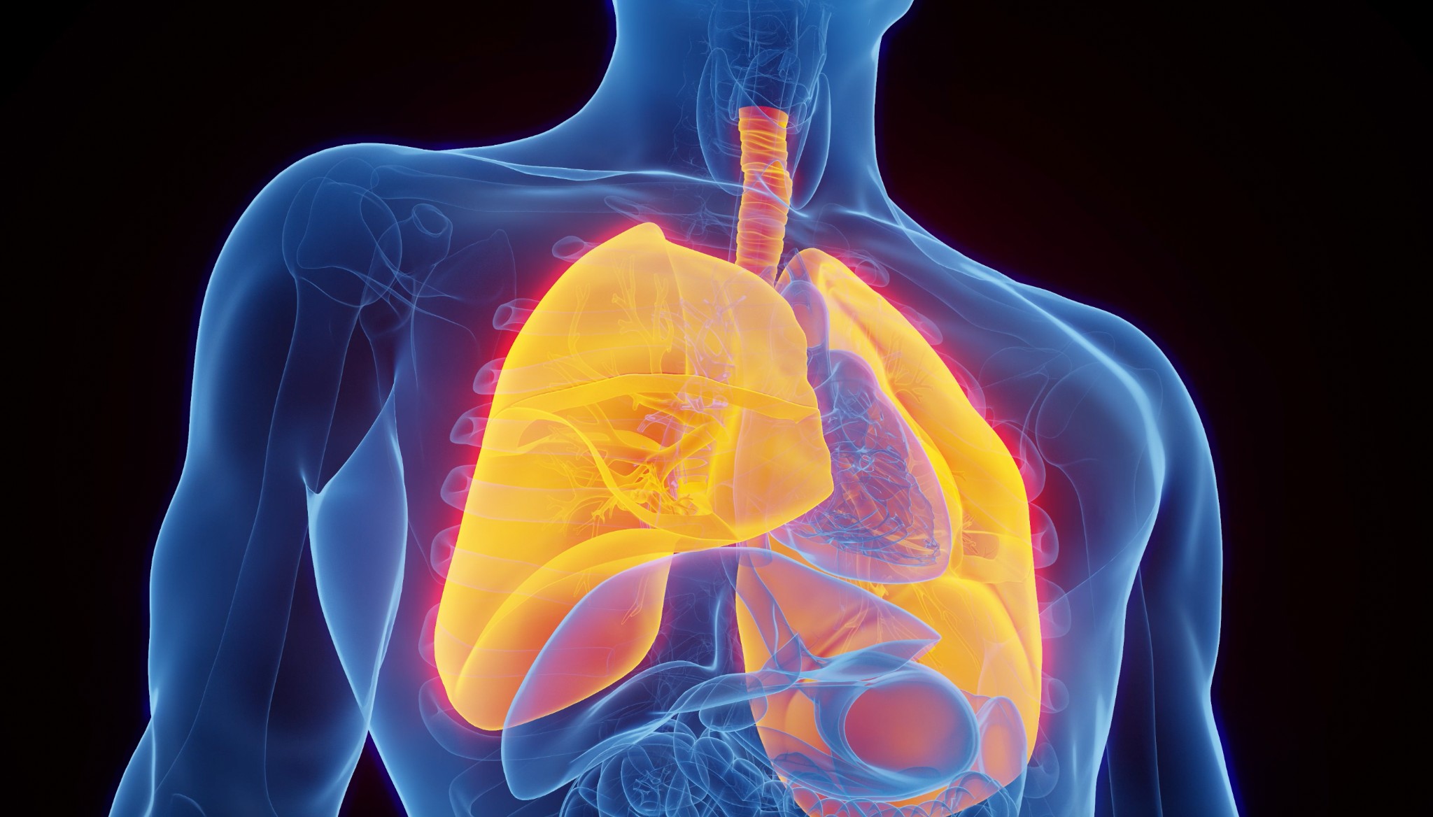 lung diseases